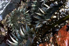 November-December 2016