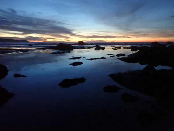 Marine life photograph