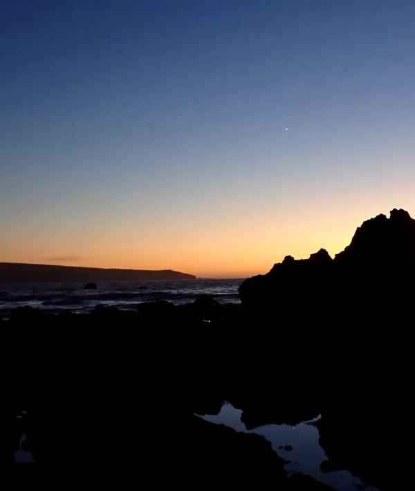 Marine life photograph