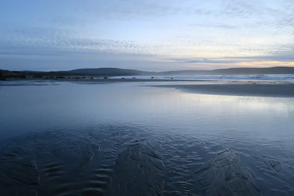 Marine life photograph