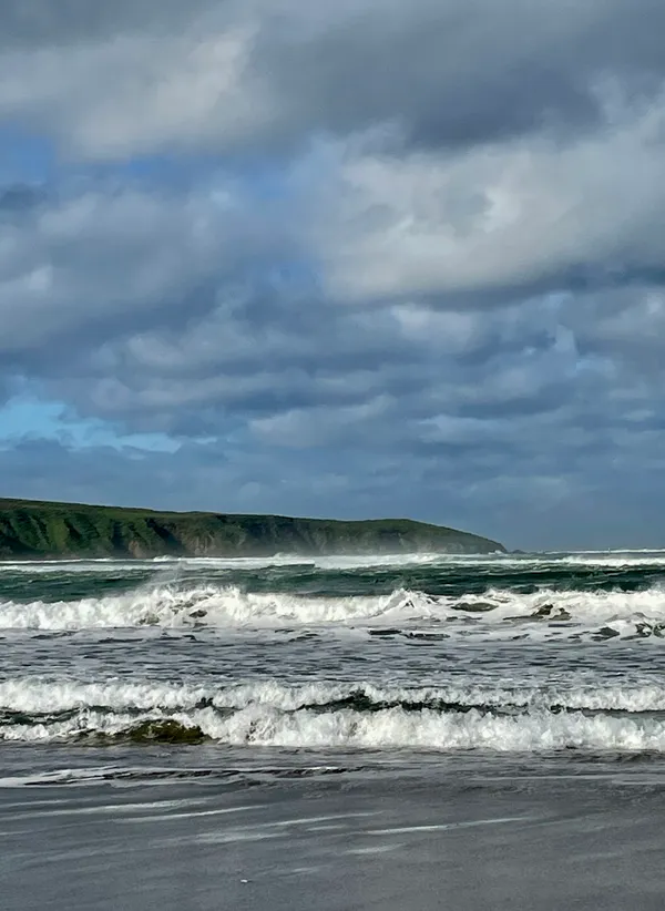 Marine life photograph