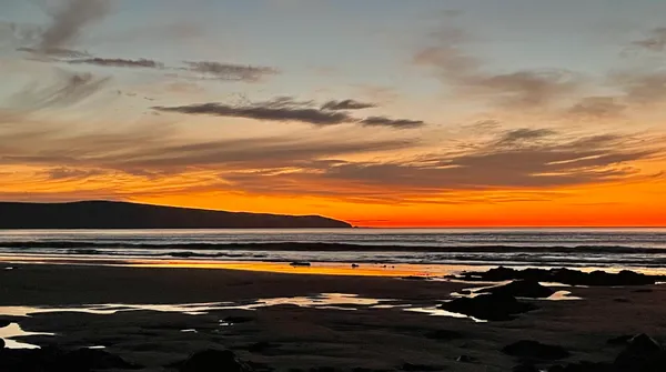 Marine life photograph