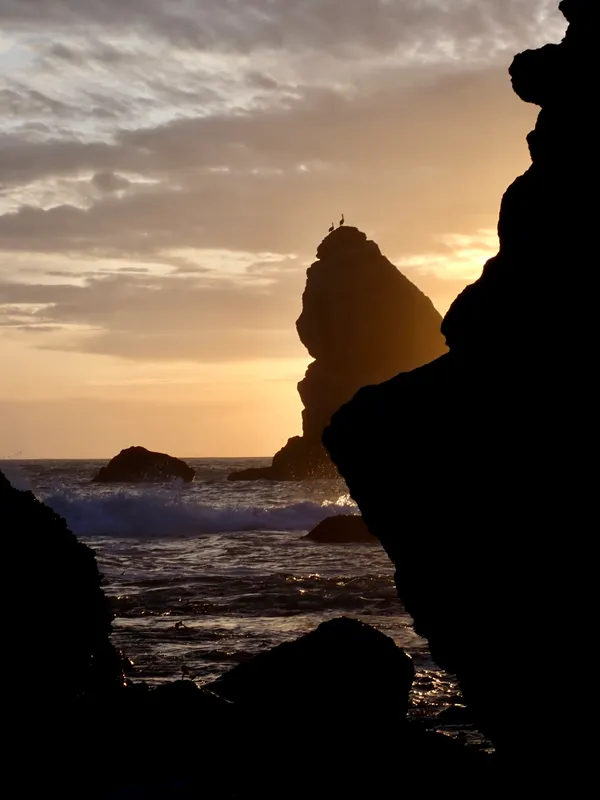 Marine life photograph