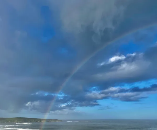 Marine life photograph