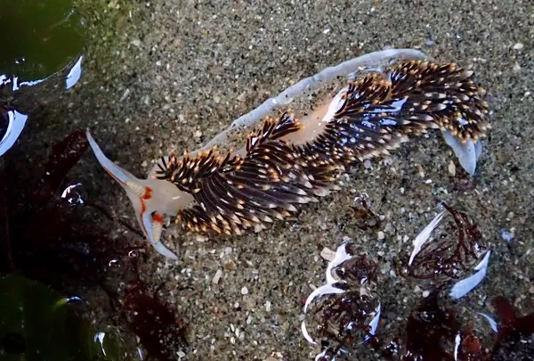 Back! 12/31/2017; 10/2.5 hours