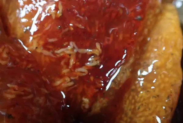 weird slimy stuff- tunicate?