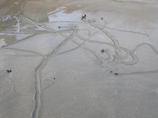 go this way! no, go that way!