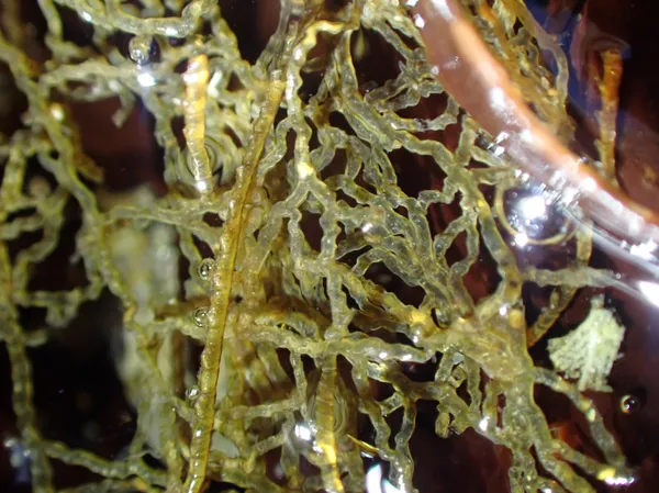 well I just have no idea