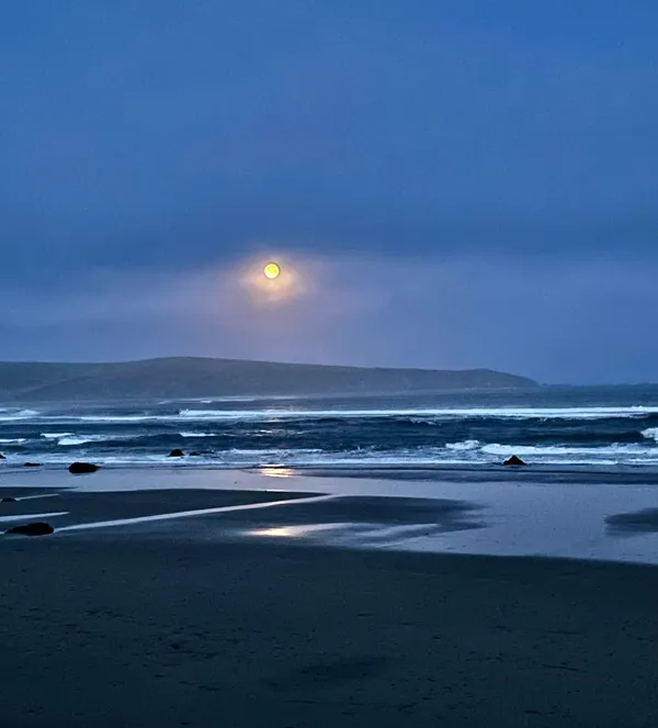 Marine life photograph