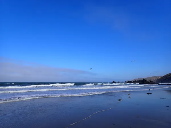 In memory of Karen Basin, August 3, 1960 - August 18, 2020